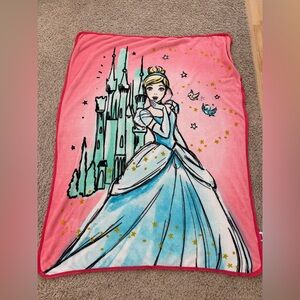 Disney Princess Pink Plush Throw Blanket - Hot Pink & Light Pink